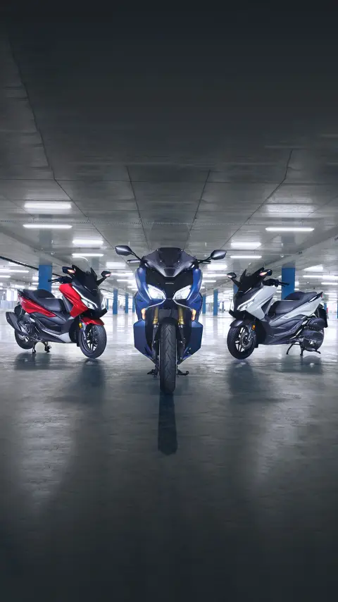 Honda motorbike shop near me sale